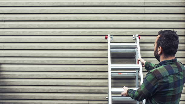 Affordable Siding Repair and Maintenance Services in Westland, MI