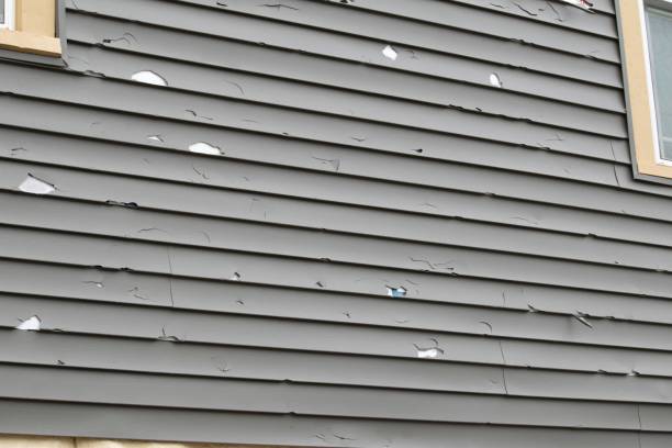 Best Fascia and Soffit Installation  in Westland, MI